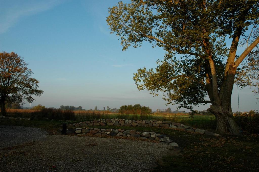 Bed And Breakfast Alokke Nyborg Quarto foto